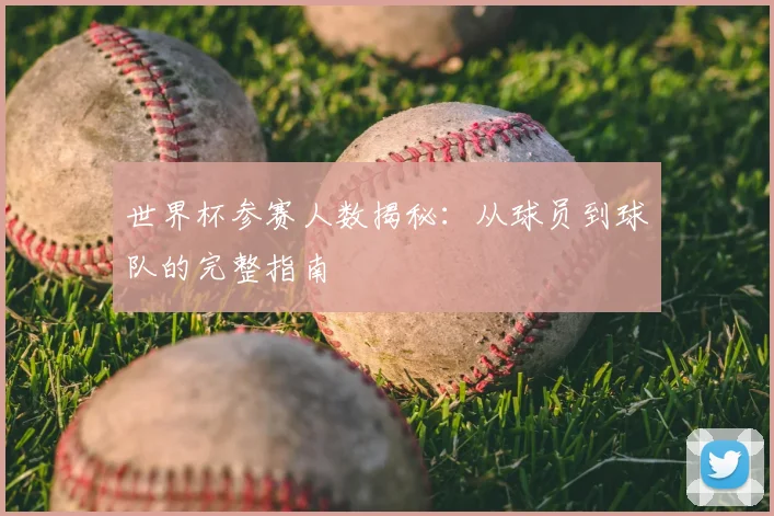 世界杯参赛人数揭秘:从球员到球队的完整指南