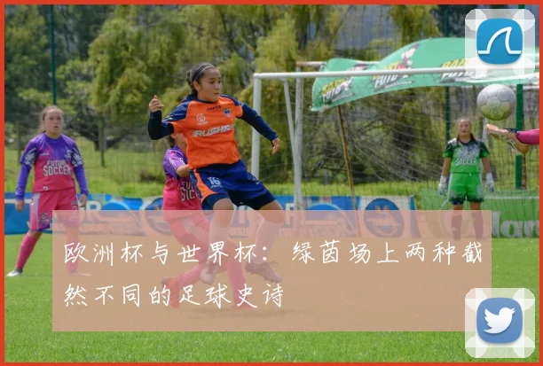 欧洲杯与世界杯：绿茵场上两种截然不同的足球史诗