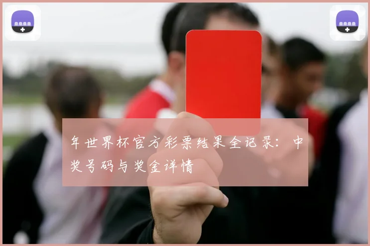 年世界杯官方彩票结果全记录:中奖号码与奖金详情