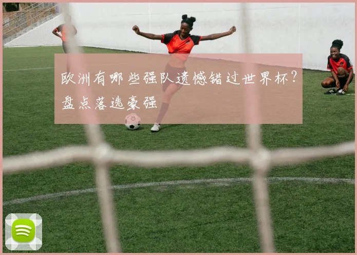 欧洲有哪些强队遗憾错过世界杯？盘点落选豪强