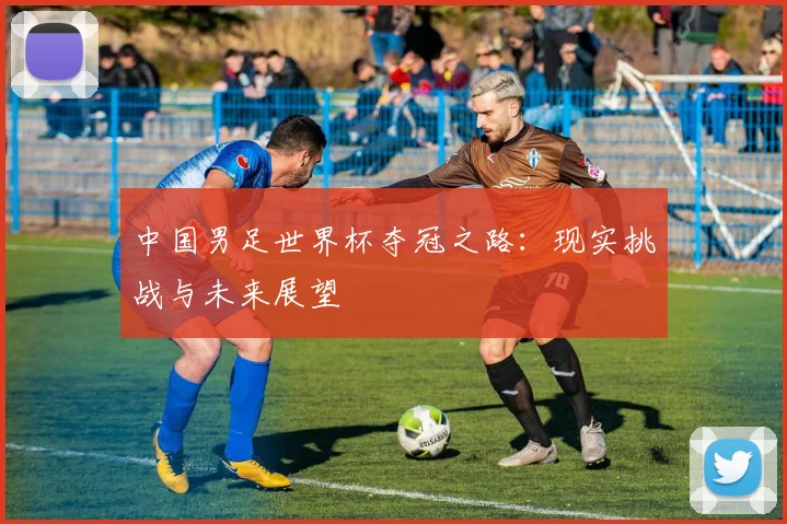 中国男足世界杯夺冠之路：现实挑战与未来展望