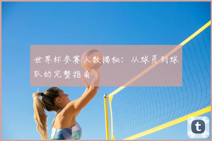 世界杯参赛人数揭秘：从球员到球队的完整指南