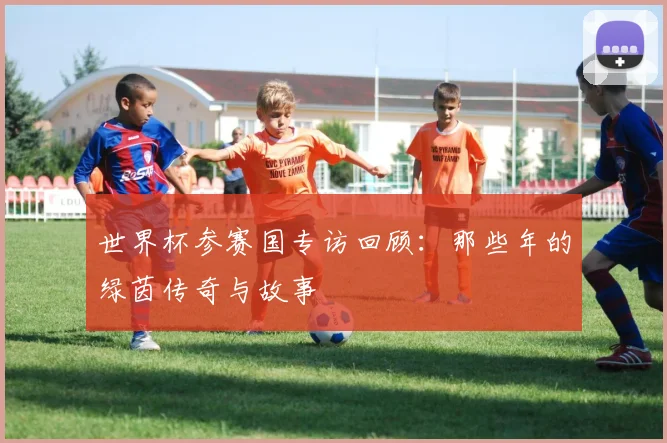 世界杯参赛国专访回顾:那些年的绿茵传奇与故事