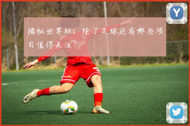 揭秘世界杯：除了足球还有哪些项目值得关注？