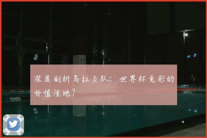 深度剖析乌拉圭队：世界杯竞彩的价值洼地？