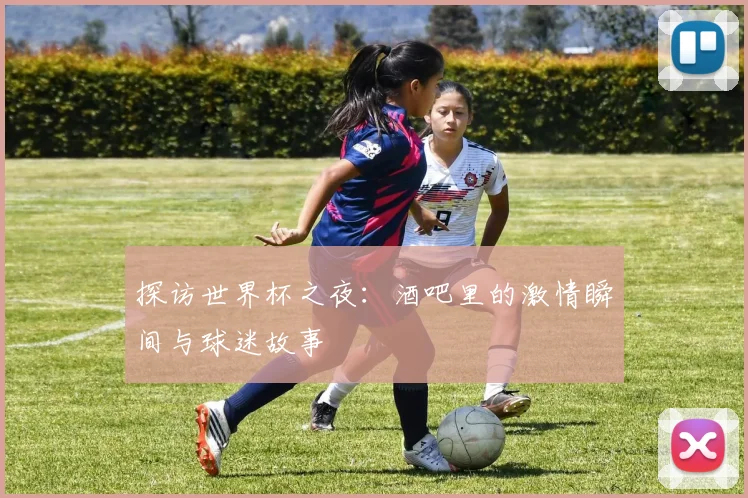 探访世界杯之夜:酒吧里的激情瞬间与球迷故事
