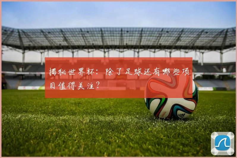 揭秘世界杯：除了足球还有哪些项目值得关注？